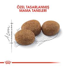 Royal Canin Sterilised Yetişkin Kısırlaştırılmış Kedi Maması