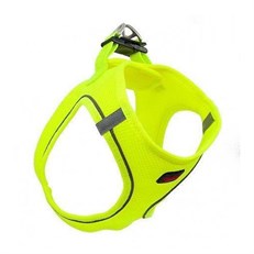Tailpetz Air-Mesh Harness Göğüs Tasması Neon Yeşil XL