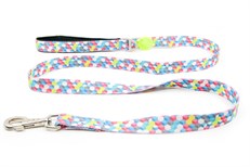 Tailpetz Cube Leash Köpek Sevk Kayışı