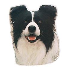 Trixie Border Collie Köpek Çıkartması