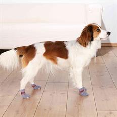 Trixie Köpek Çorabı Kaymaz