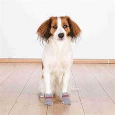 Trixie Köpek Çorabı Kaymaz