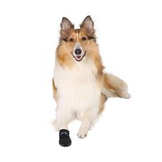 Trixie Köpek Çorabı Neopren