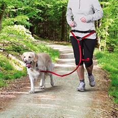 Trixie Köpek Yürüme Koşma Kemeri ve Kayışı