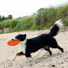 Trixie Yüzen Termoplastik Kauçuk Frizbi Köpek Oyuncak
