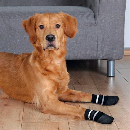 Trixie Çizgili Köpek Çorabı Kaymaz
