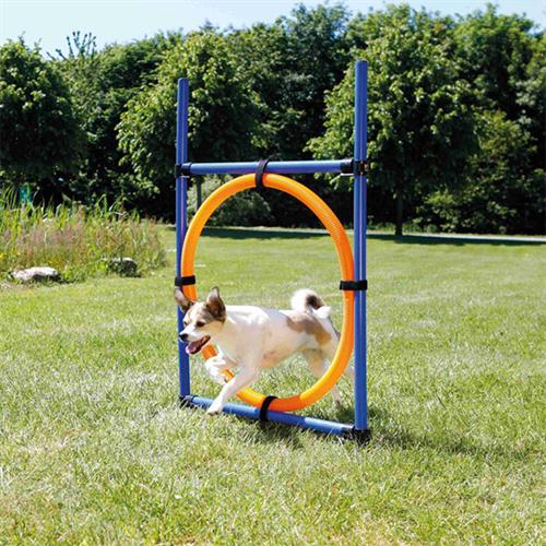 Trixie Köpek Agility Eğitim Çemberi