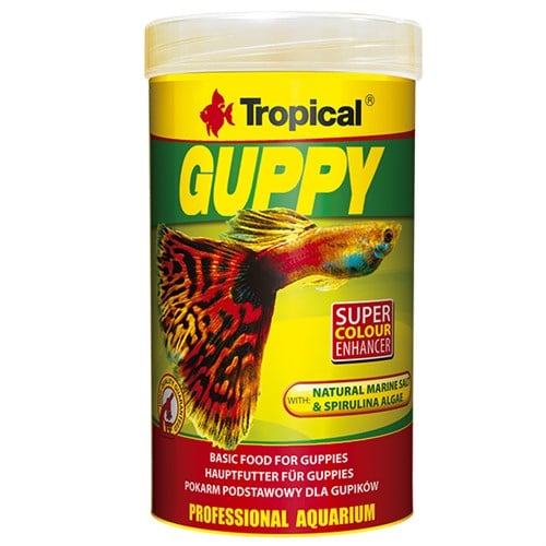 Tropical Guppy Lepistes Balıkları için Pul Balık Yemi