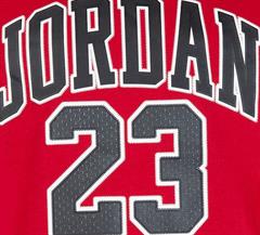 Nike Jordan JDB PRACTICE FLIGHT Çocuk Tişört 95A088-R78