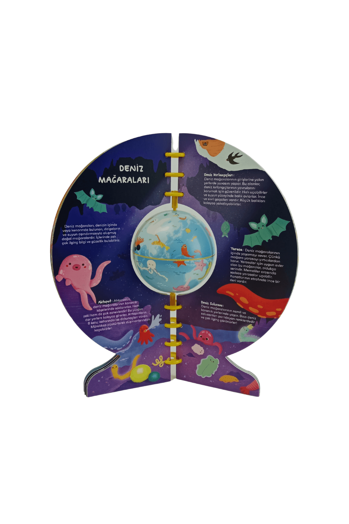 11 Cm Keşfediyorum Suda Yaşam Kitabı