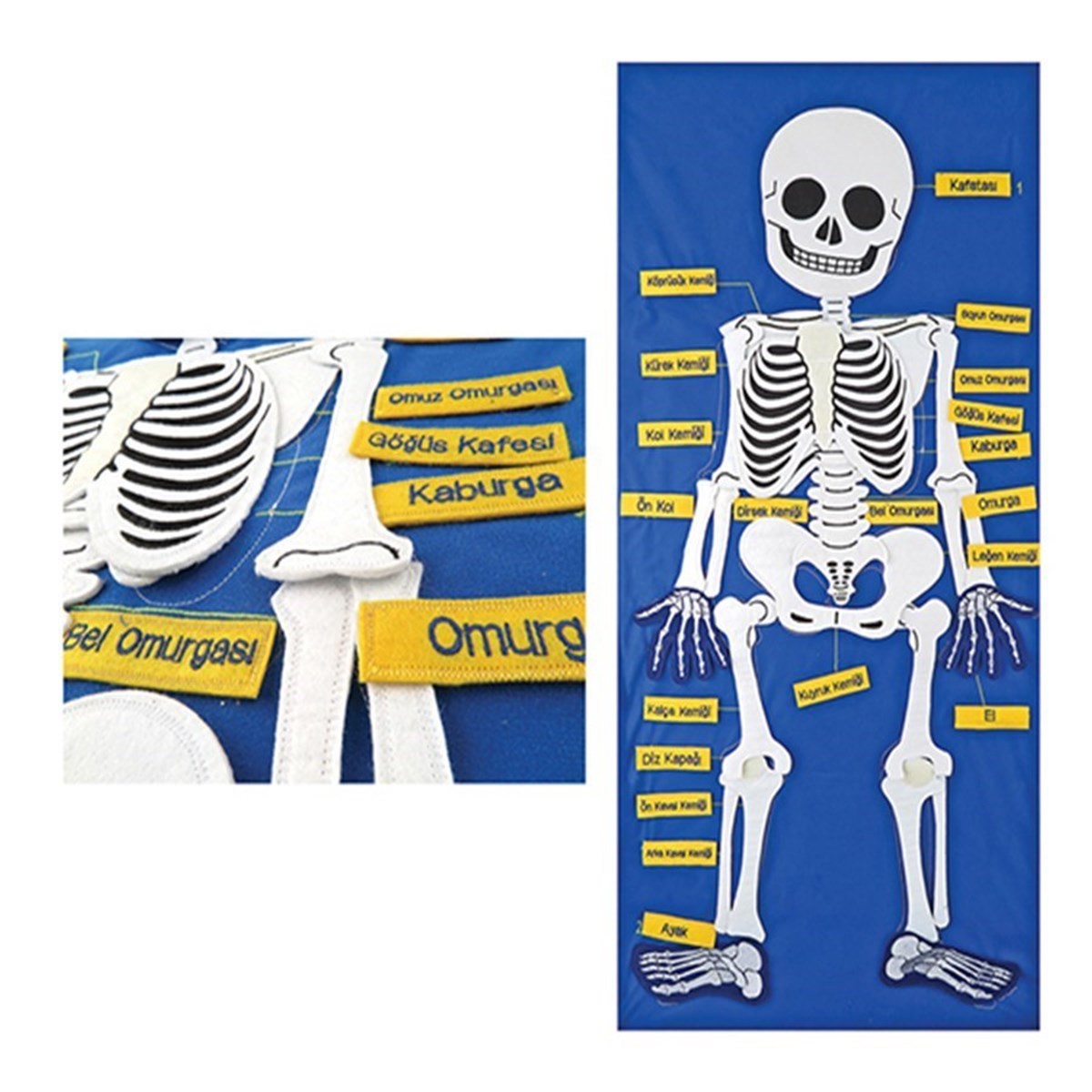 Cırtlı İskelet Panosu | www.kreşmarket.comKumaş Kavram PanolarıKMKK9150Çırtlı İskelet Panosu