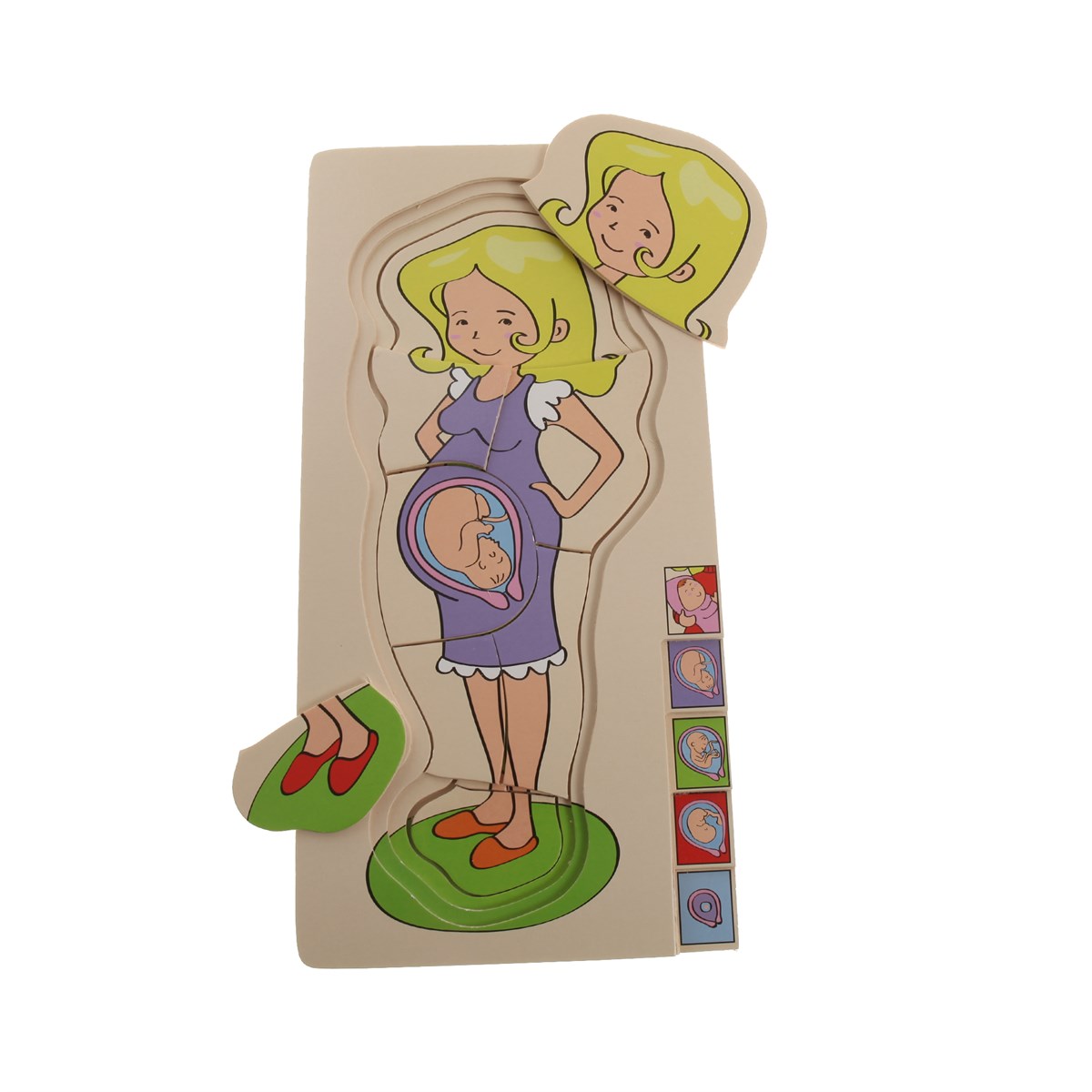 Hamile Gelişim Puzzle