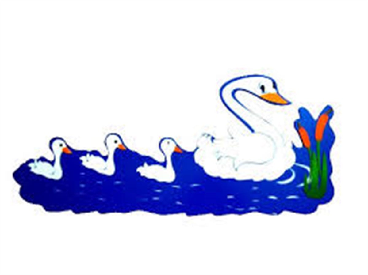 Kuğu Ailesi Askılık