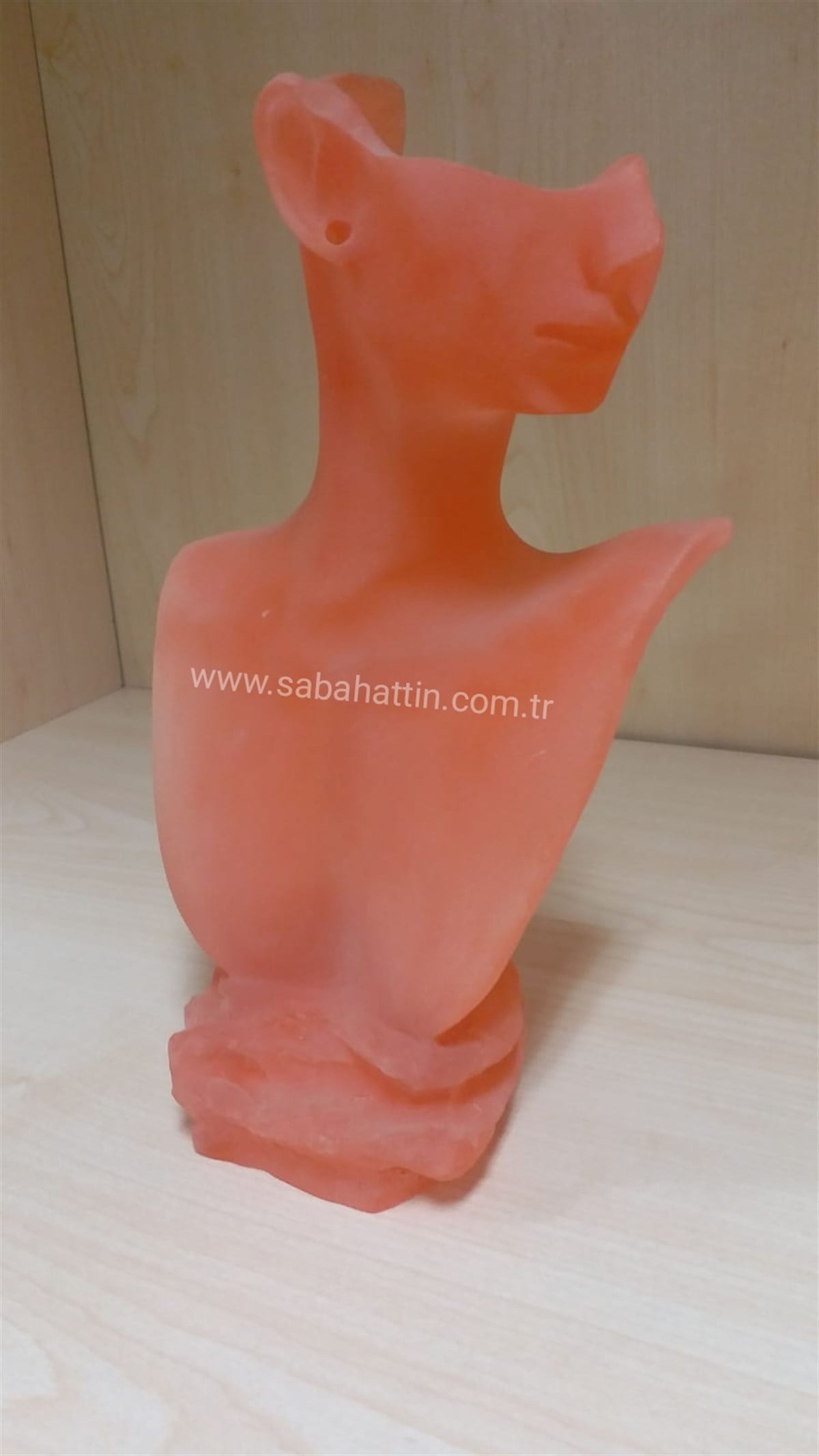 ACRYLIC KOLYELİK , ACRYLIC JEWELRY NECLACE DISPLAY