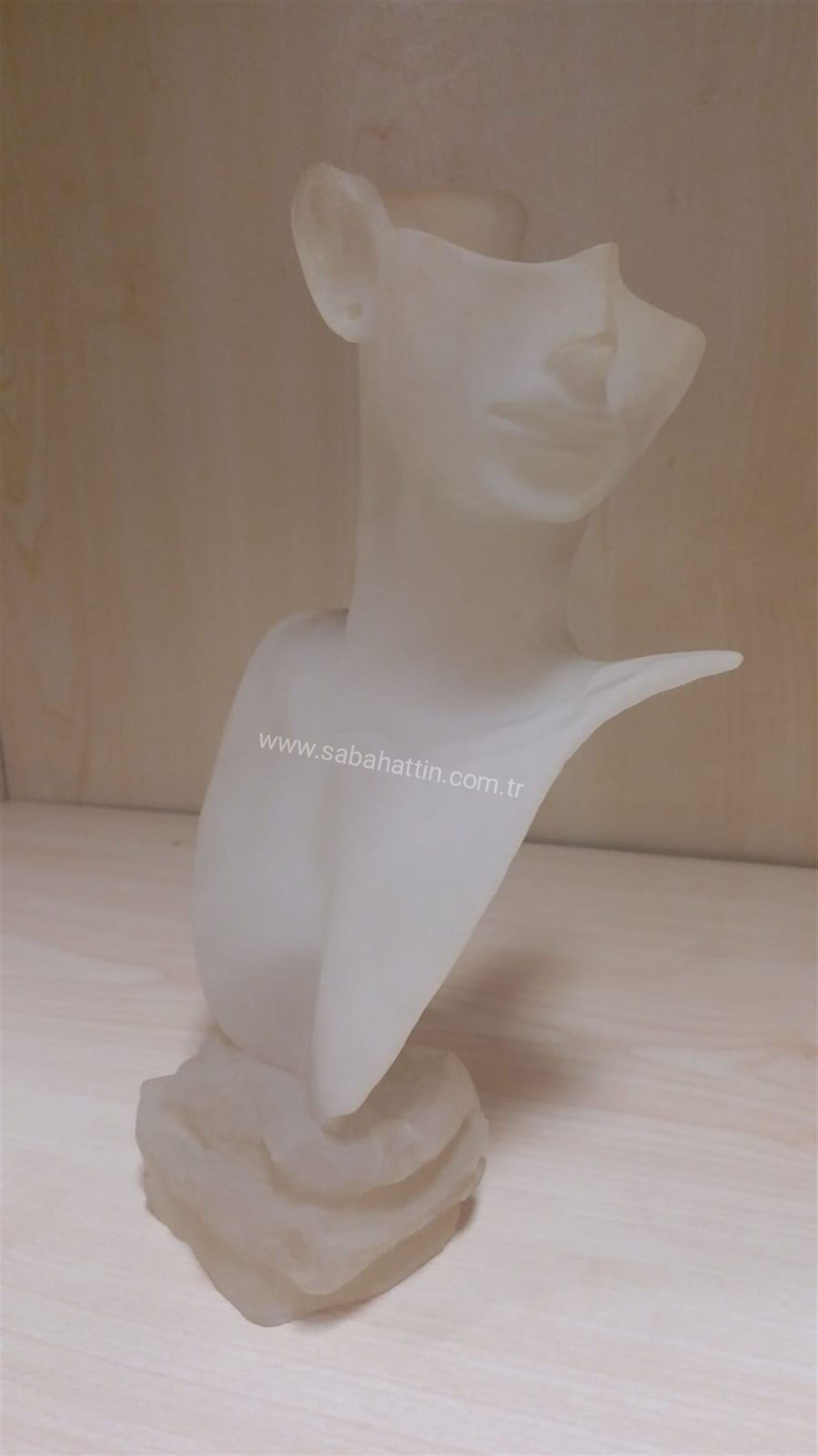 ACRYLIC KOLYELİK , ACRYLIC JEWELRY NECLACE DISPLAY