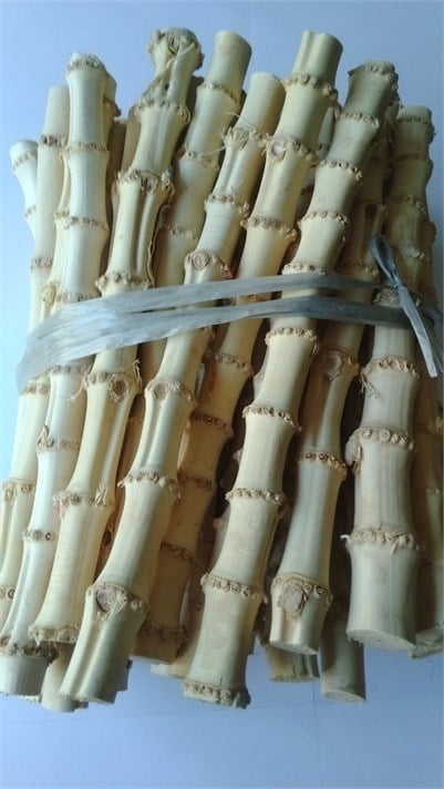 BAMBU KÖK ÇUBUK  10/15 mm - 30 cm