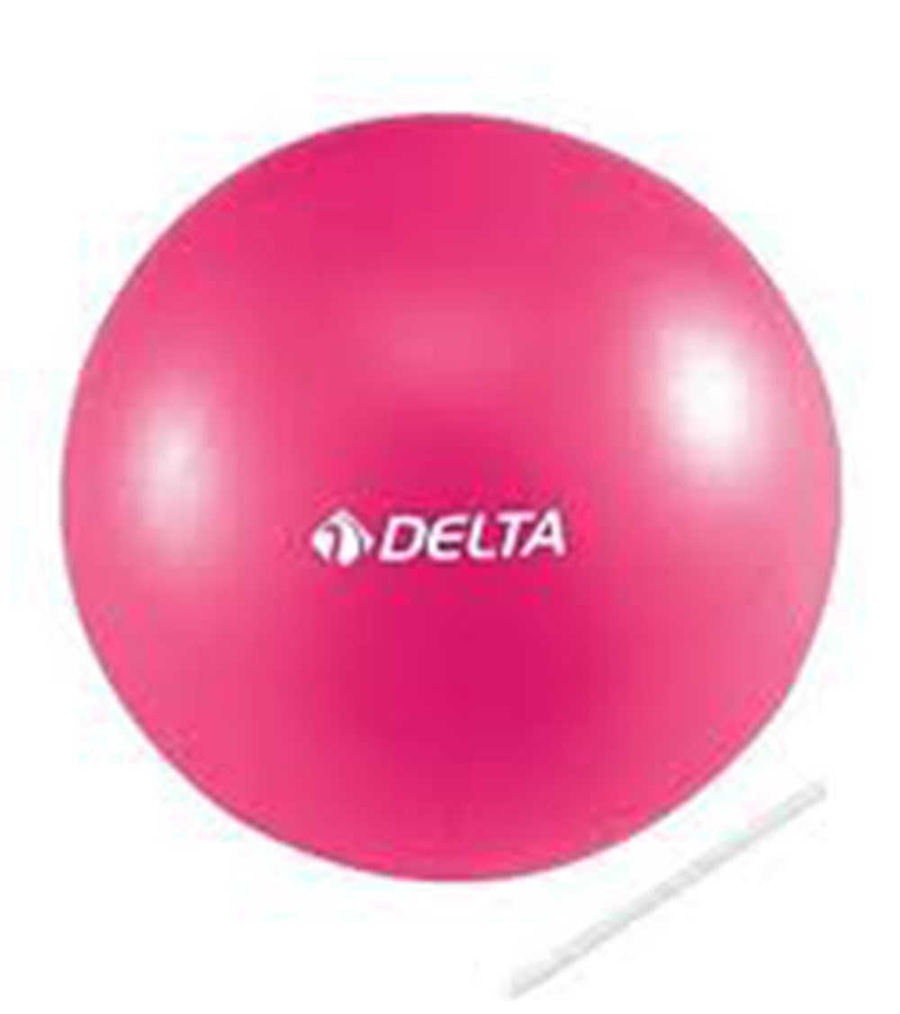 Delta 25-PMB225 Pilates Topu 25 cm / Pembe