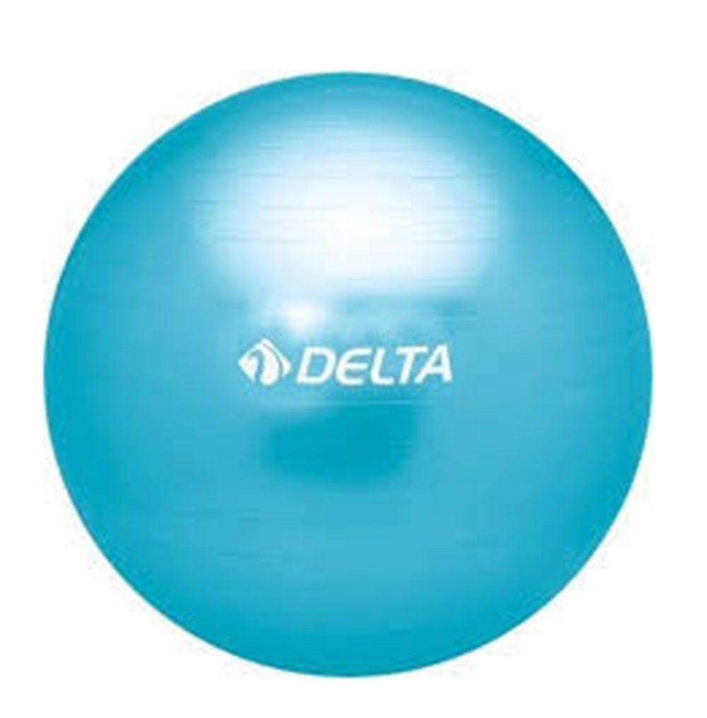Delta 25-TMB236 Pilates Topu 25 cm / Mavi