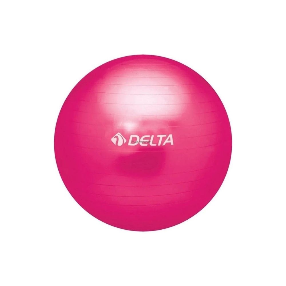 Delta 55-PUM135 Pilates Topu 55 cm / Mor
