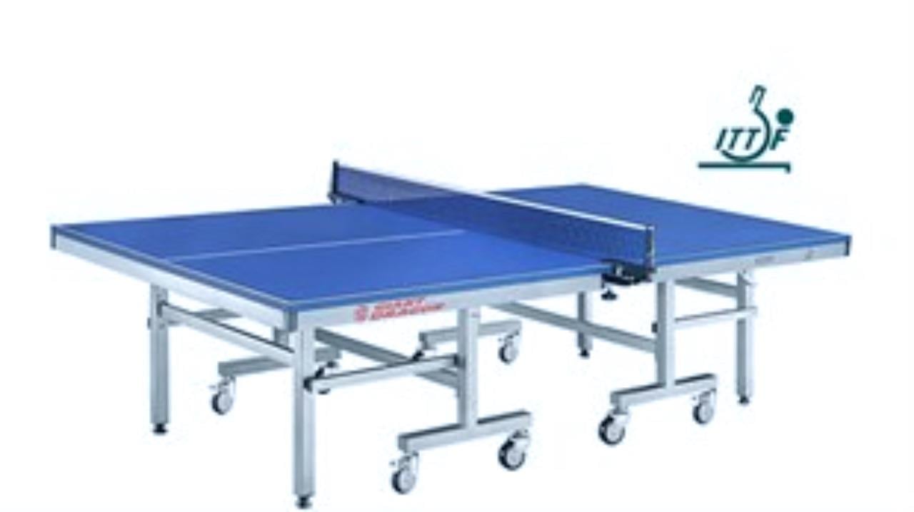 Gaint Dragon 25 mm Masa Tenisi Masası ITTF Onaylı