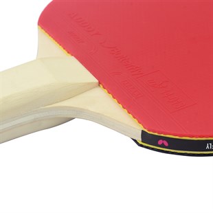 Butterfly Starter ITTF Onaylı Masa Tenisi Raketi