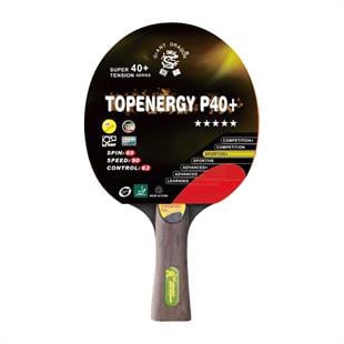Giant Dragon P40+Masa Tenisi Raketi ITTF Onaylı