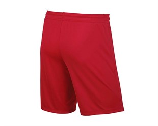 Nike Park II Knit Short Nb Futbol Şortu-725887-657