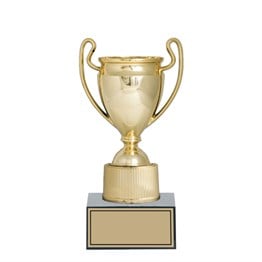 Seftil A029B Başarı & Ödül Kupası 23 cm