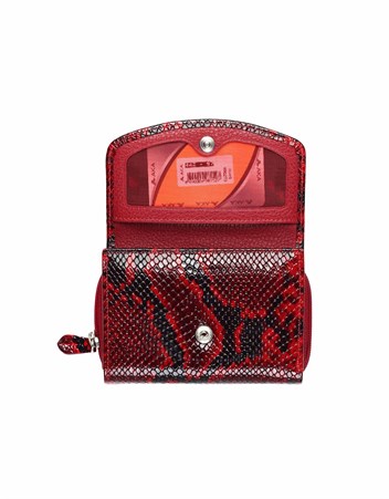 Aka Deri Kadın Cüzdanı 442 97