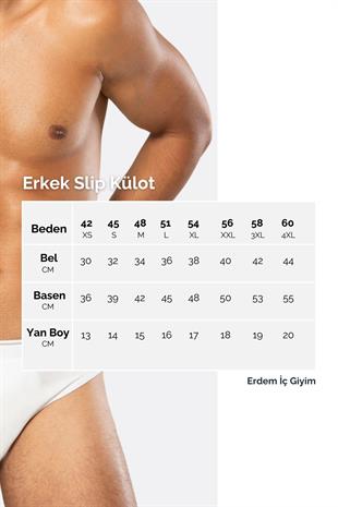 Erdem Beyaz 3lü  Gold Modal Slip Külot 1554