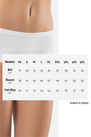 Erdem Beyaz  Üçgen Külot 2509