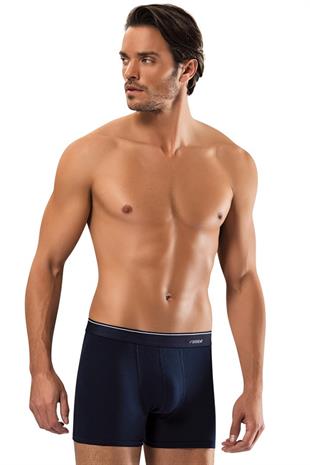 Erdem Füme-Gri-Lacivert -- 3lü Basic Boxer 1491