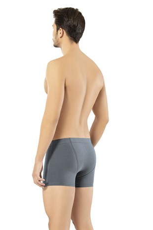 Erdem Füme Kısa Görünümlü Slim Fit Boxer 1420