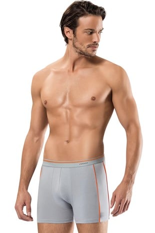 Erdem Gri Boxer 1431