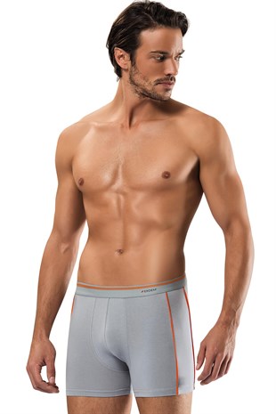 Erdem Gri Boxer 1431