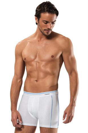 Erdem Gri Boxer 1431