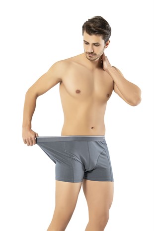 Erdem Füme Pamuk Elastan Klasik Boxer 1445