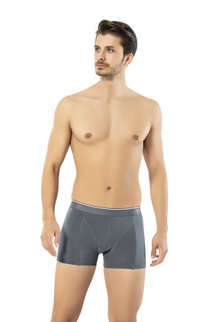 Erdem Füme Pamuk Elastan Klasik Boxer 1445