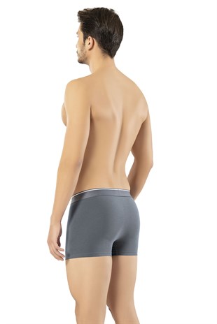 Erdem Füme Pamuk Elastan Klasik Boxer 1445