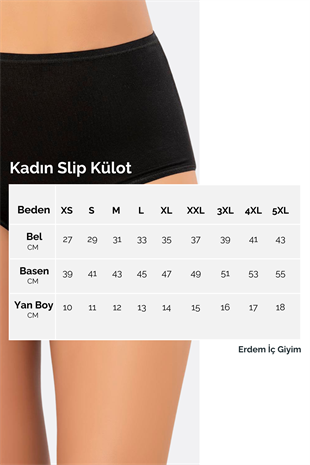 Erdem Triangle Panty