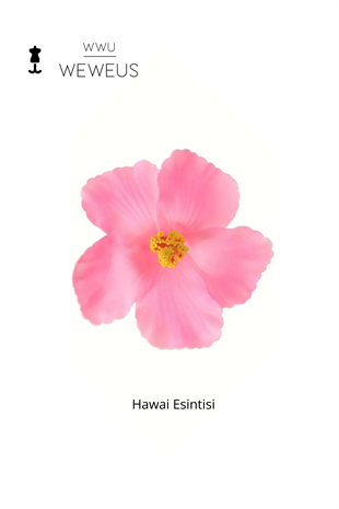WeWeus Kadın Hawai Stili Pembe Çiçek Premium Toka