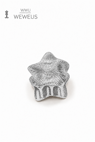 WeWeus Yıldız Gri Parlak Metal Mini Premium Mandal Toka