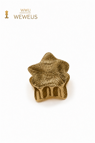 WeWeus Yıldız Koyu Gold Parlak Metal Mini Premium Mandal Toka