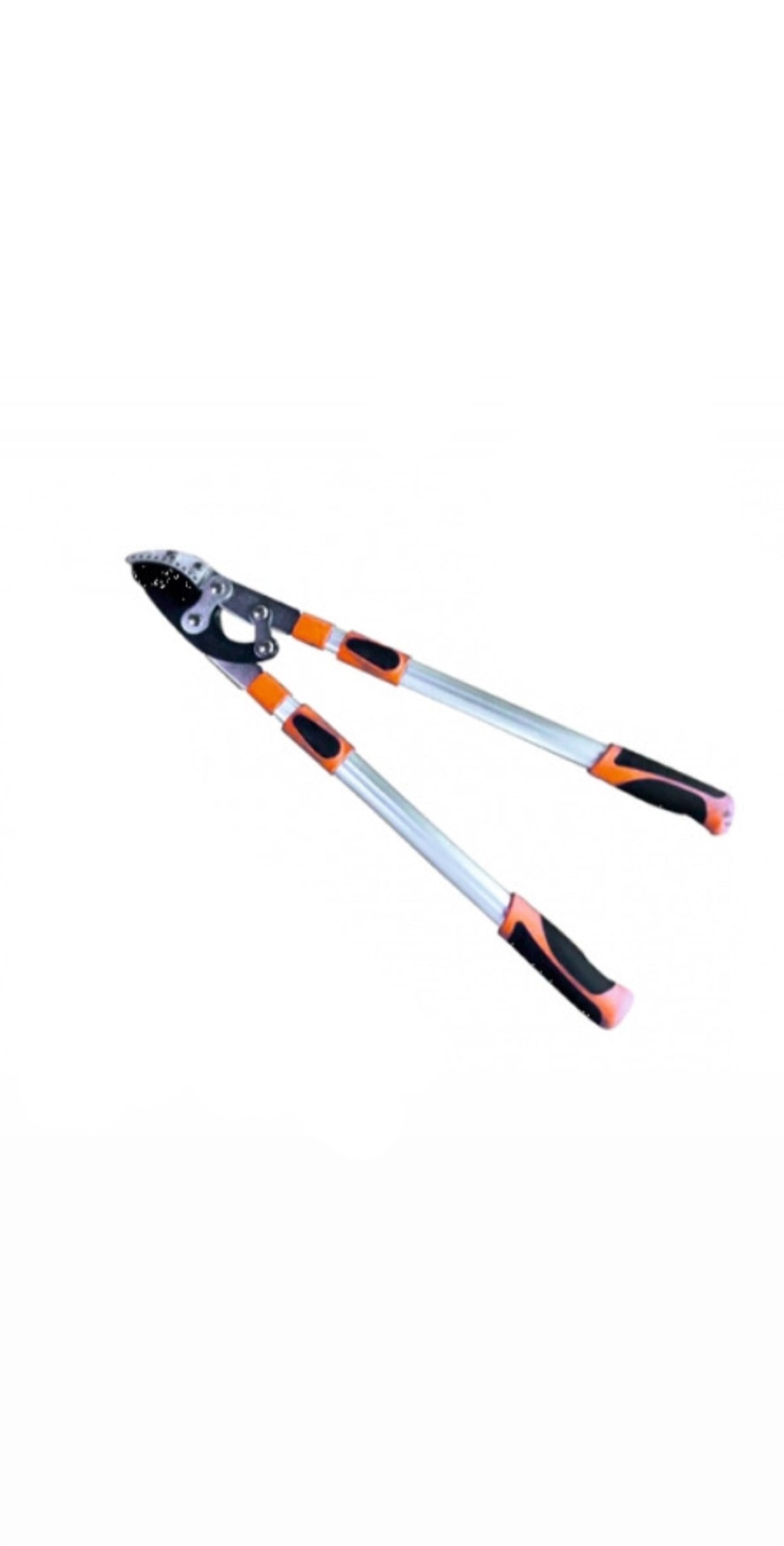 Teleskobik Dal Budama Makası