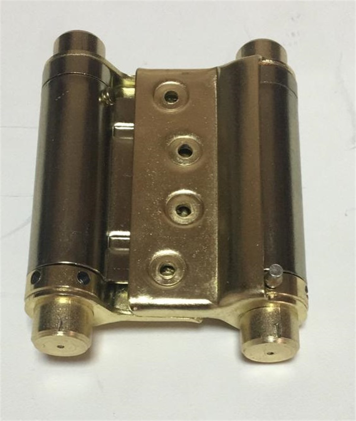 Yaylı Menteşe Sarı 1 Adet