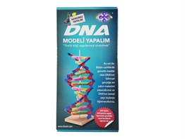 DNA Modeli Yapalım Deney Seti