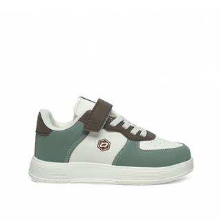 Alessio Filet 015 Cilt Kahve Bej Yeşil Tb Bej