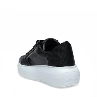 Flet Zenne 339 Cilt Siyah Beyaz