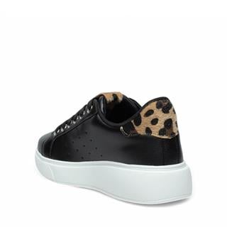 Flet Zenne 341 Cilt Siyah Beyaz