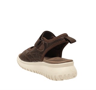 Genel Zenne Sandalet S112 Kahve